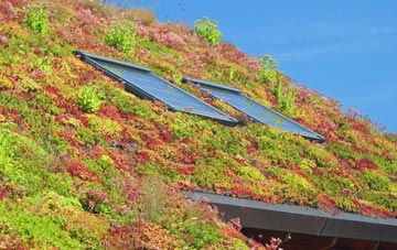 Wicker Street Green living roof systems