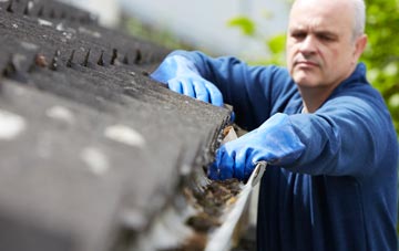 cleaning and inspecting Wicker Street Green roofs